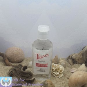 Thieves Waterless Hand Purifier klein